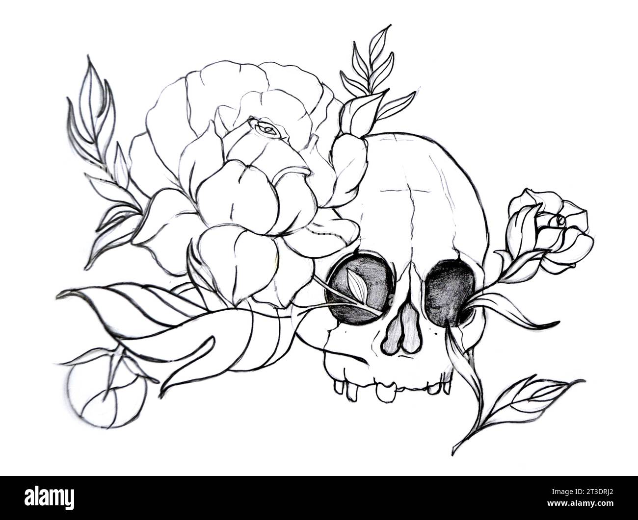 Tätowierkunst Schädel- und Blumenkunst und Zeichnung schwarz-weiß. Zuckerschädel mit dekorativem Muster und einem Kranz aus roten Rosen. . Hohe Qualität krank Stockfoto