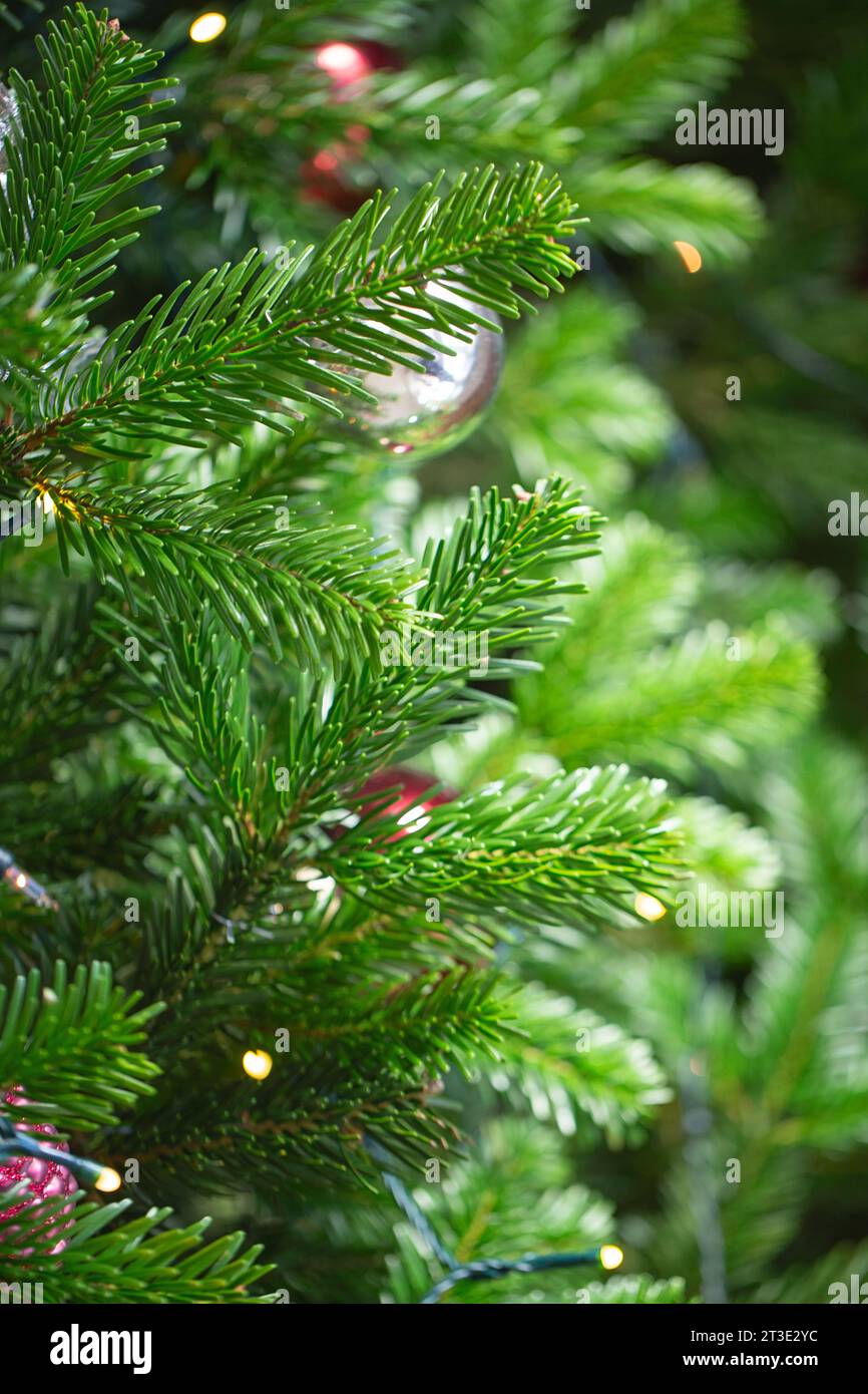 Gemütliches Neujahrszimmer mit Weihnachtsbaum und Girlanden. Weihnachtsdekoration im Haus Stockfoto