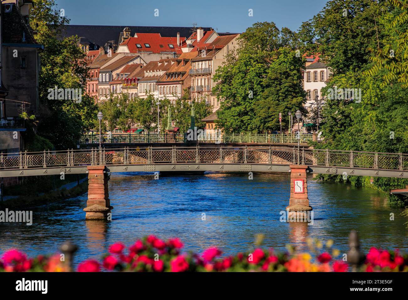 Verzierte traditionelle Fachwerkhäuser mit steilen Dächern über dem Fluss Ill mit blühenden Blumen, das historische Zentrum von Straßburg, Elsass, Frankreich Stockfoto