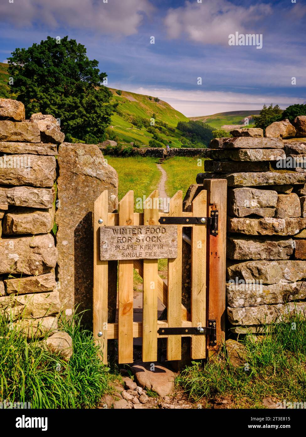 Muker Wiese, mit ihren Heuscheunen und Trockenmauern, die das Wahrzeichen dieser berühmten blumenreichen Heuwiesen in Swaledale, Großbritannien Stockfoto