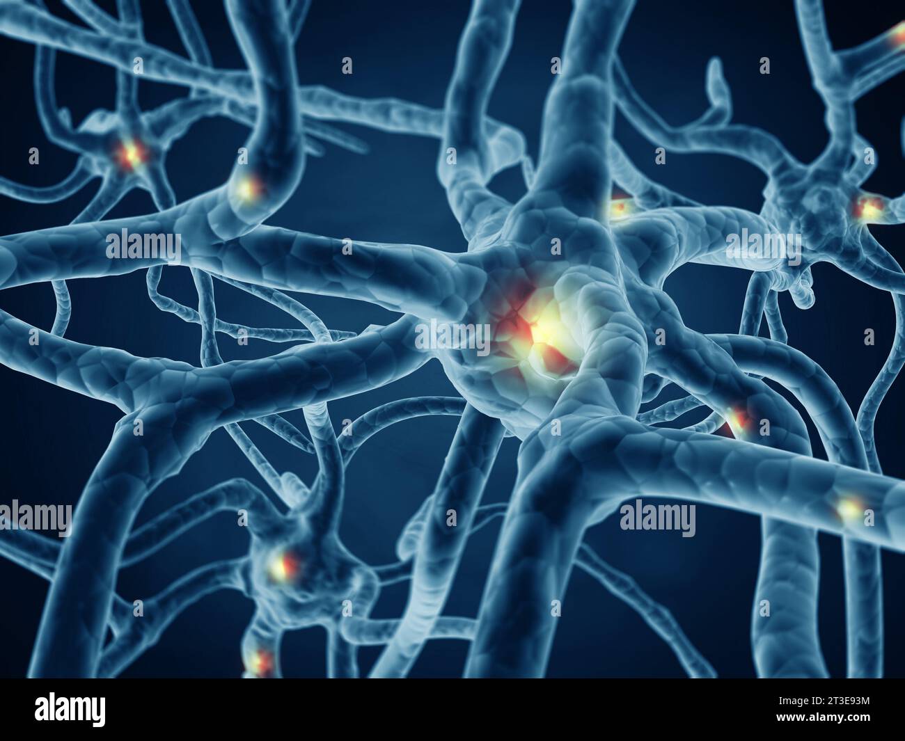 Neuronales Netzwerk im Gehirn. Nervensystem , Neuronen. 3D-Rendering Stockfoto