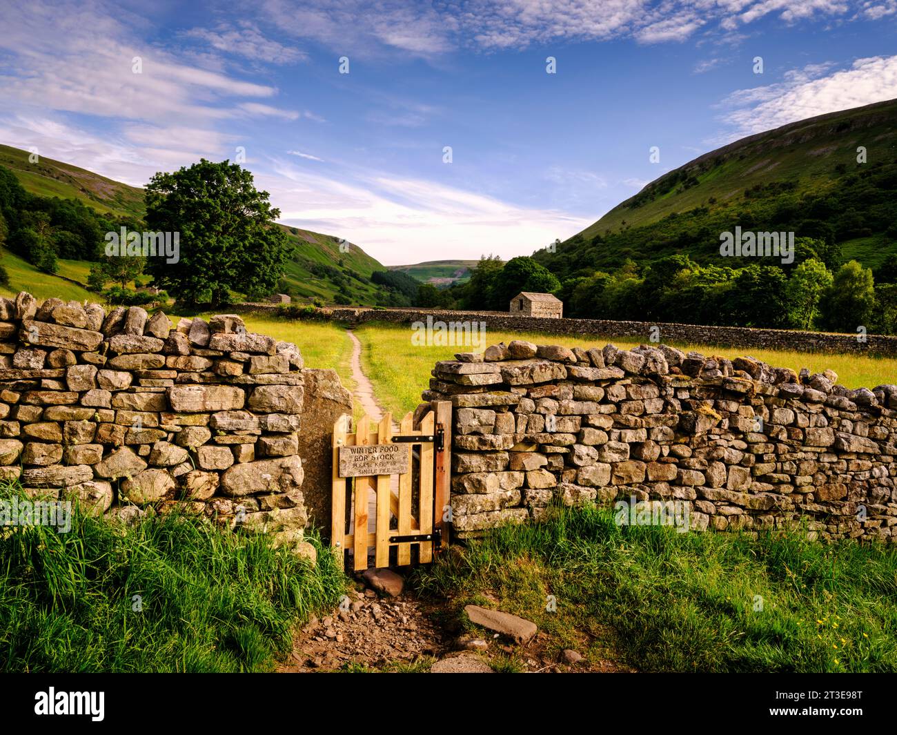 Muker Wiese, mit ihren Heuscheunen und Trockenmauern, die das Wahrzeichen dieser berühmten blumenreichen Heuwiesen in Swaledale, Großbritannien Stockfoto