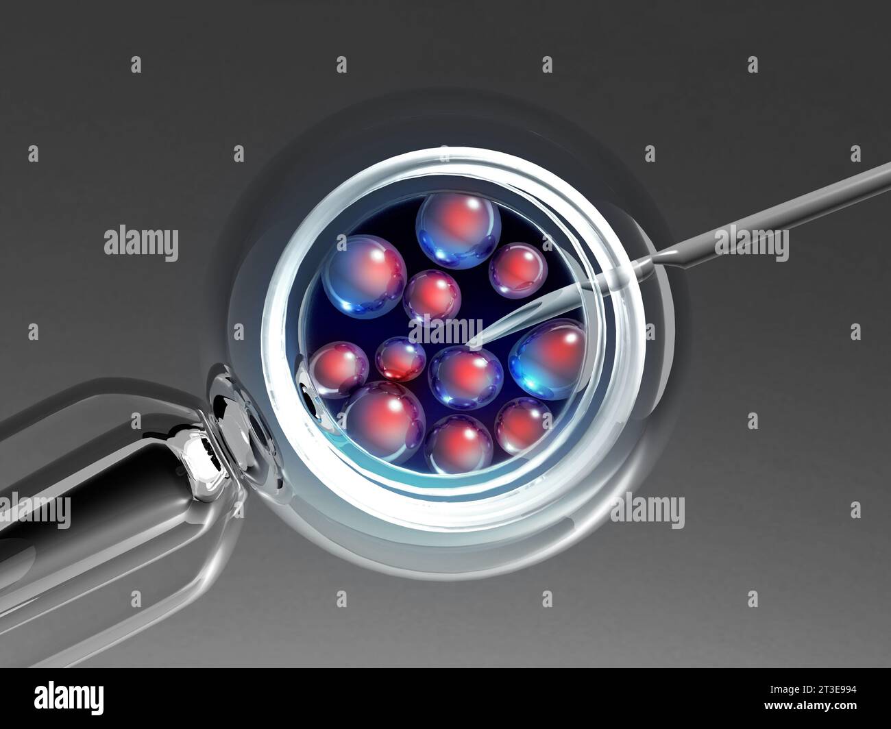 IVF. In-vitro-Fertilisation. 3D-Rendering Stockfoto