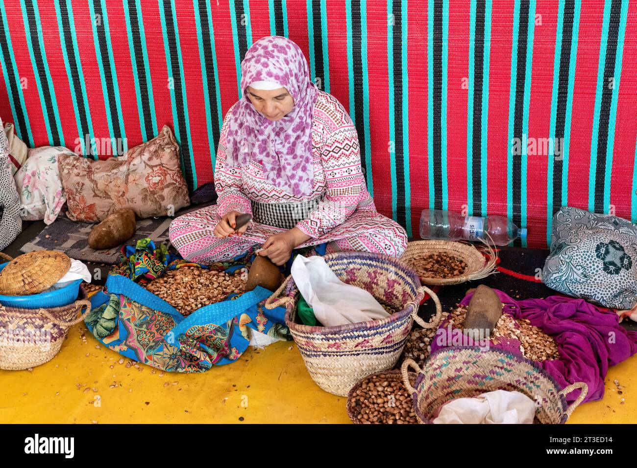 Ourika Valley, Marokko – 16. September 2022: Frauen arbeiten in einer Genossenschaft zur Herstellung von Arganfrüchten. Sie benutzen kleine Steine, um die Früchte aufzubrechen Stockfoto