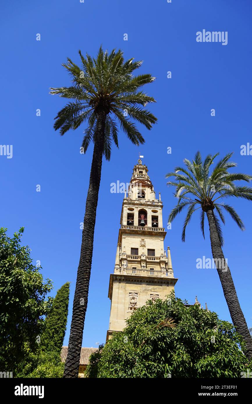 Spanien, Andalusien, Cordoba: Glockenturm der Moschee – Kathedrale von Córdoba (Mezquita), die vom Pat aus zum UNESCO-Weltkulturerbe erklärt wurde Stockfoto