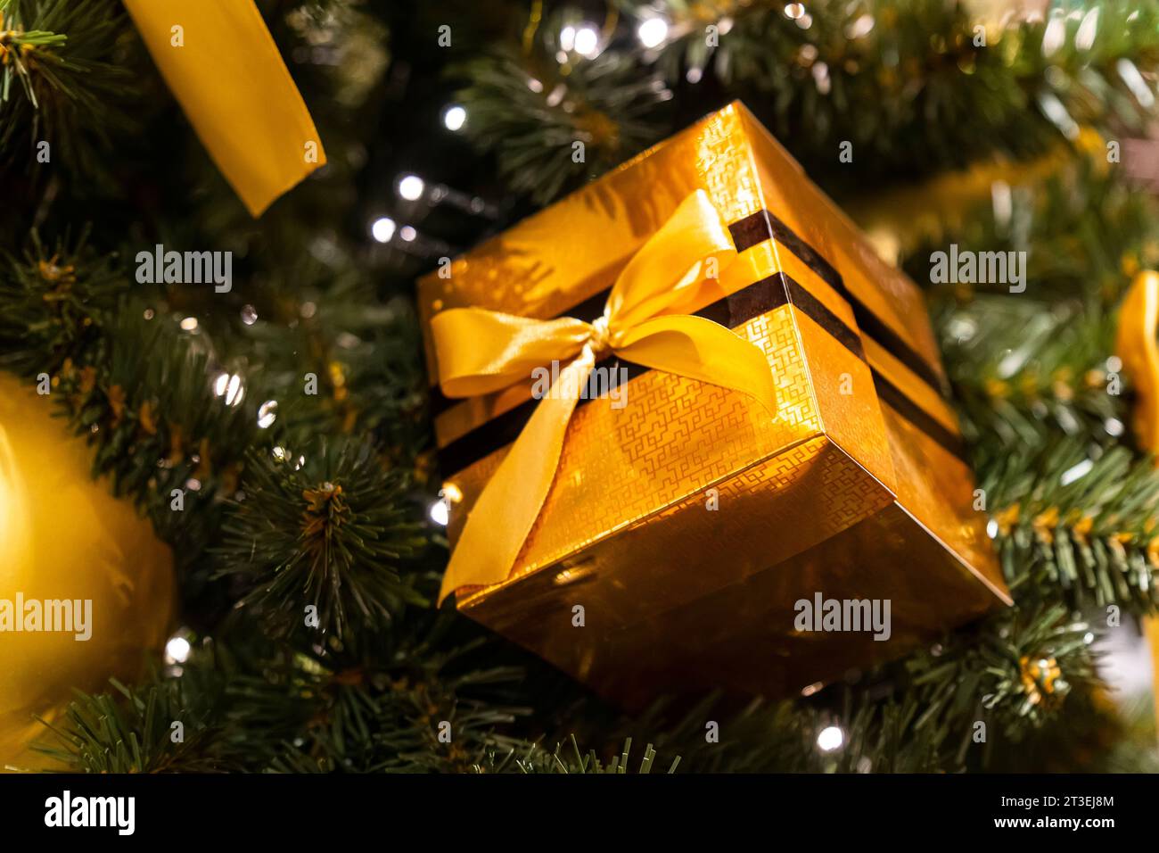 Große, wunderschöne, glänzende Goldbox Überraschung. Bokeh Hintergrund gelbe Schleife Spielzeug Ballon. Geschenkferien Winter Dezember. Grüne Zweige dekorative Weihnachten Stockfoto