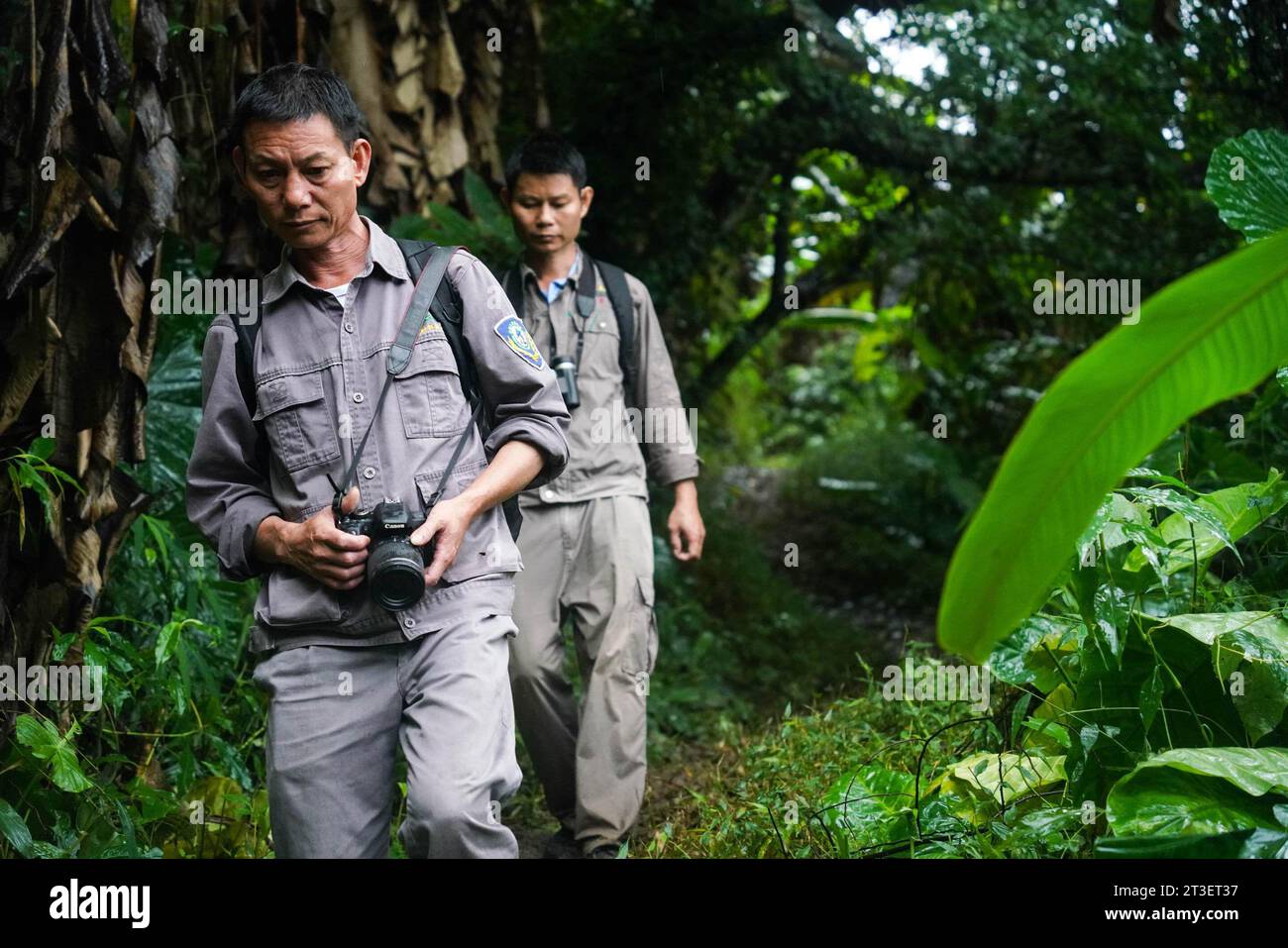 (231025) - HAIKOU, 25. Oktober 2023 (Xinhua) - Li Wenyong (L) und sein Kollege patrouillieren im Gebiet Bawangling im Hainan Tropical Rainforest National Park, südchinesischer Provinz Hainan, 18. Oktober 2023. Li Wenyong ist ein Waldläufer im Hainan Tropical Rainforest National Park in der südchinesischen Inselprovinz. Er lebt im Dorf Miao in der Gemeinde Qingsong, die der Gerichtsbarkeit des Autonomen Bezirks Baisha Li untersteht, und dem nächstgelegenen Dorf in der Gegend von Bawangling. Das ist das Herz des Hainan Gibbon Country. Die Schwarzhaubenaffen sind nur in Hainan zu finden, und da sie selten Fuß setzen Stockfoto