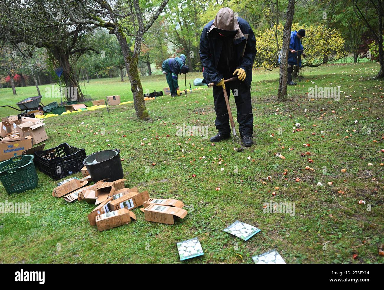 Rottenburg Dettingen Kreis Tübingen 24.10.2023 Doschka Garten, Thema
