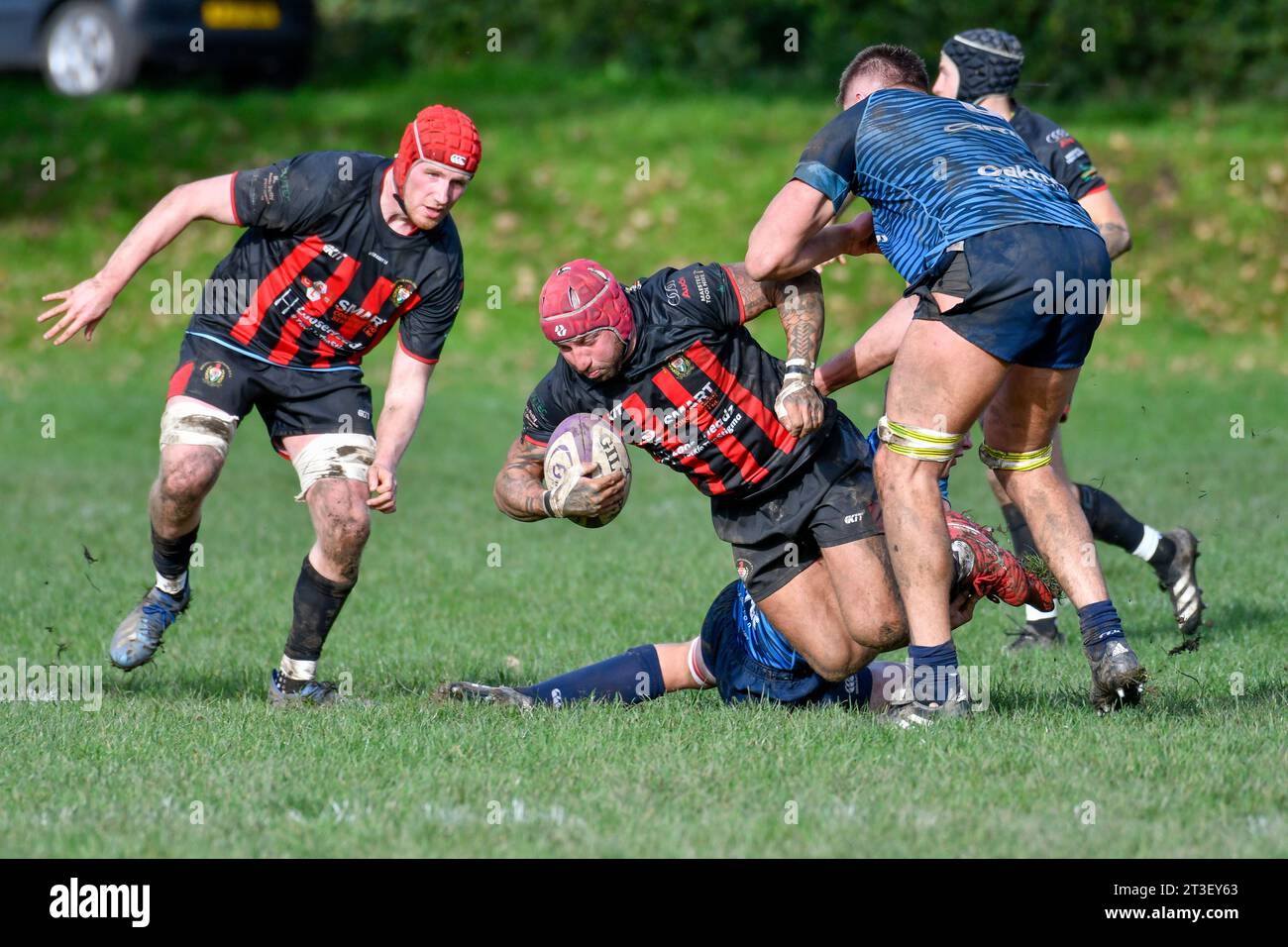 Trebanos, Wales. 21. Oktober 2023. Logan Phillips von Maesteg Quins wird von einem Trebanos Spieler während des WRU Admiral Championship West Spiels zwischen Trebanos und Maesteg Quins im Park in Trebanos, Wales, Großbritannien am 21. Oktober 2023 angegriffen. Quelle: Duncan Thomas/Majestic Media. Stockfoto