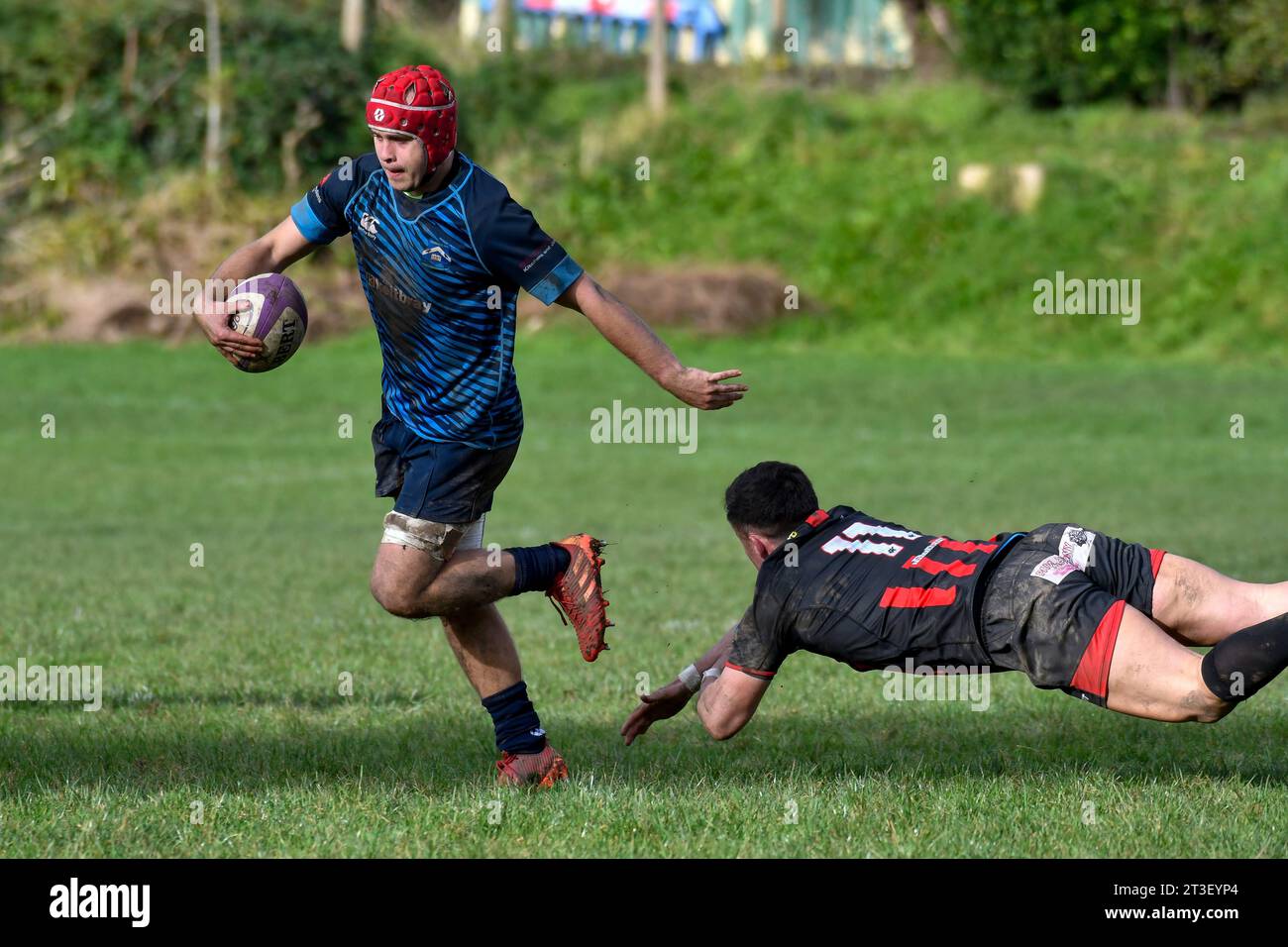 Trebanos, Wales. 21. Oktober 2023. Mackenzie Clayton aus Trebanos entgeht dem Angriff von Alex Griffiths aus Maesteg Quins während des WRU Admiral Championship West Spiels zwischen Trebanos und Maesteg Quins im Park in Trebanos, Wales, Großbritannien am 21. Oktober 2023. Quelle: Duncan Thomas/Majestic Media. Stockfoto