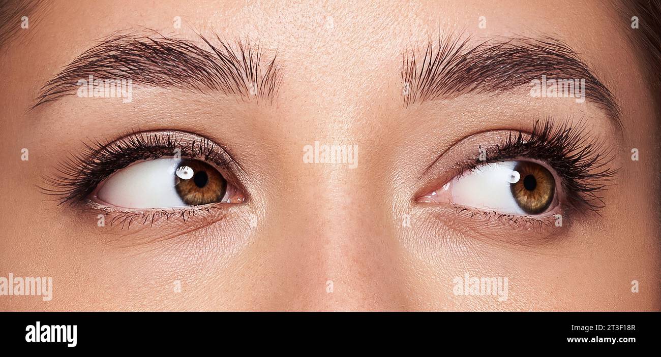 Schöne weibliche Augen mit langen Wimpern. Wimpernverlängerungen. Make-up, Kosmetik, Schönheit. Nahaufnahme, Makro Stockfoto