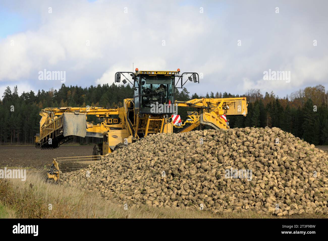 ROPA Euro-Maus 4 selbstfahrender Reiniger-Lader für Zuckerrüben auf dem Feld mit einem Haufen geernteter Zuckerrüben. Salo, Finnland. Oktober 2023. Stockfoto