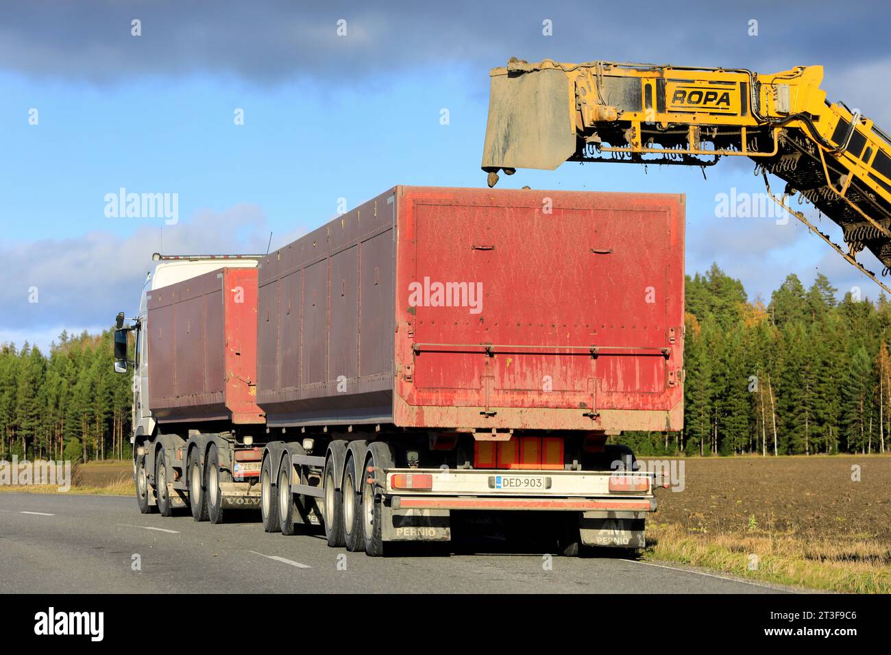 ROPA Euro-Maus-Reiniger-Lader, der neu geerntete Zuckerrüben für den Transport auf Lkw-Anhänger lädt. Rückansicht. Salo, Finnland. Oktober 2023. Stockfoto