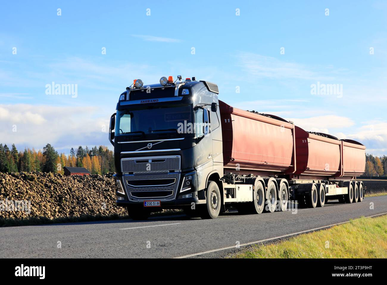 Der schwarze Volvo FH Lkw-Kipper transportiert neu geerntete Zuckerrüben zur Zuckerfabrik Sucros Oy in Sakyla. Salo, Finnland. Oktober 2023. Stockfoto