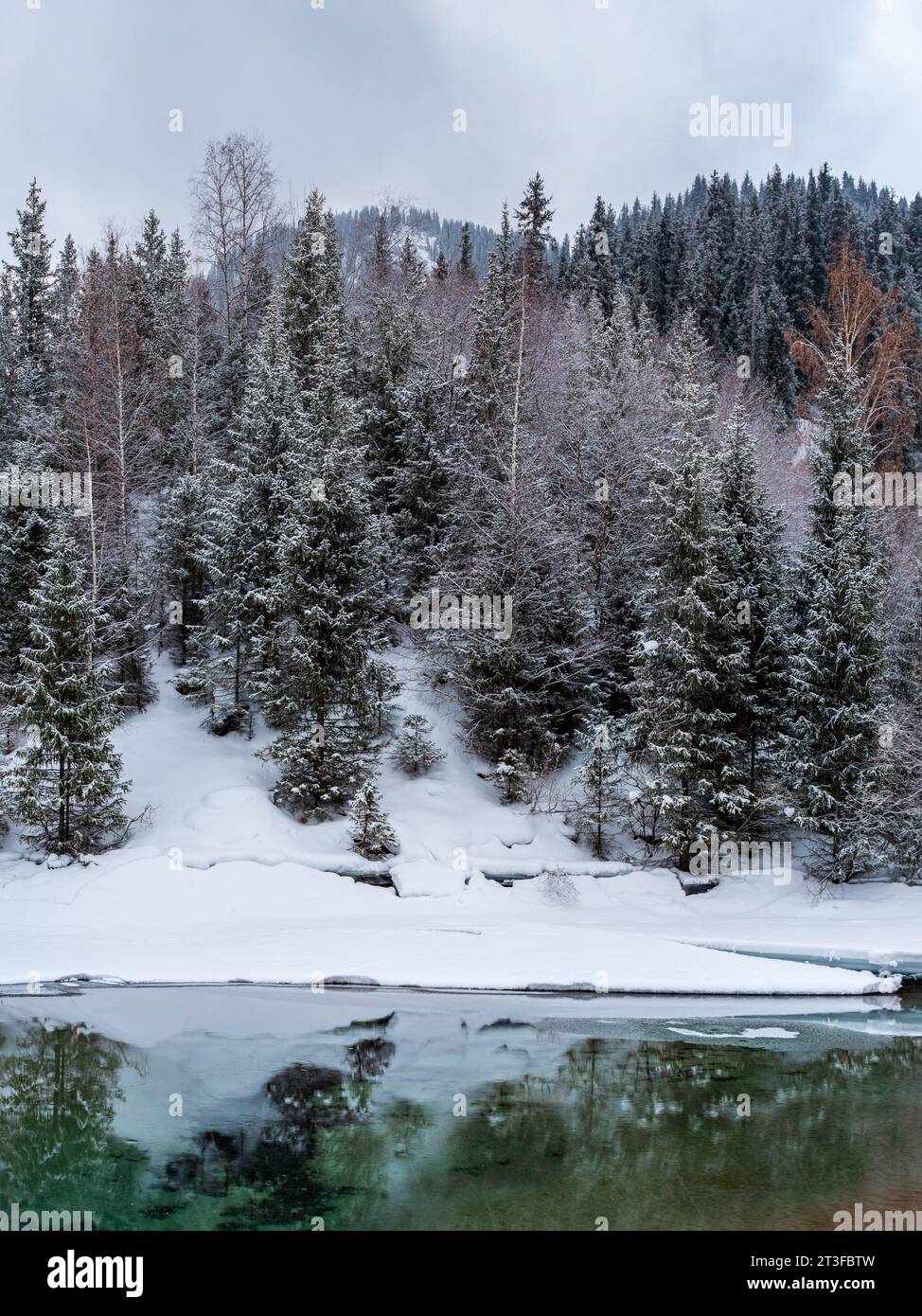 Winterlandschaft mit Bergen und einem ungefrorenen Fluss mit Reflexion. Bewölkter, schneebedeckter Tag. Sanfte Beleuchtung Stockfoto