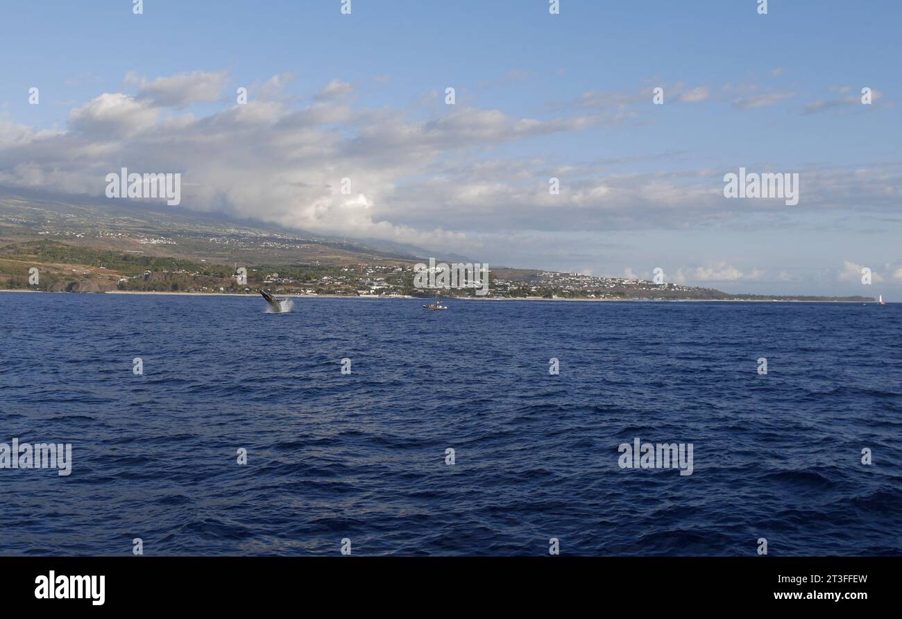 Reunion Island : Buckelwale brechen im indischen Ozean Stockfoto