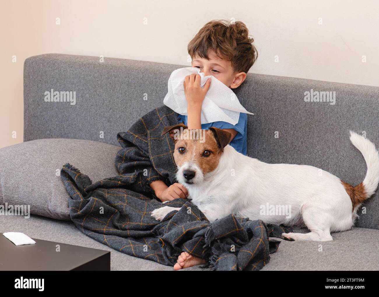 Der kleine kranke Junge niest und bläst sich die Nase. Haustier Hund tröstet kranke Besitzer Stockfoto