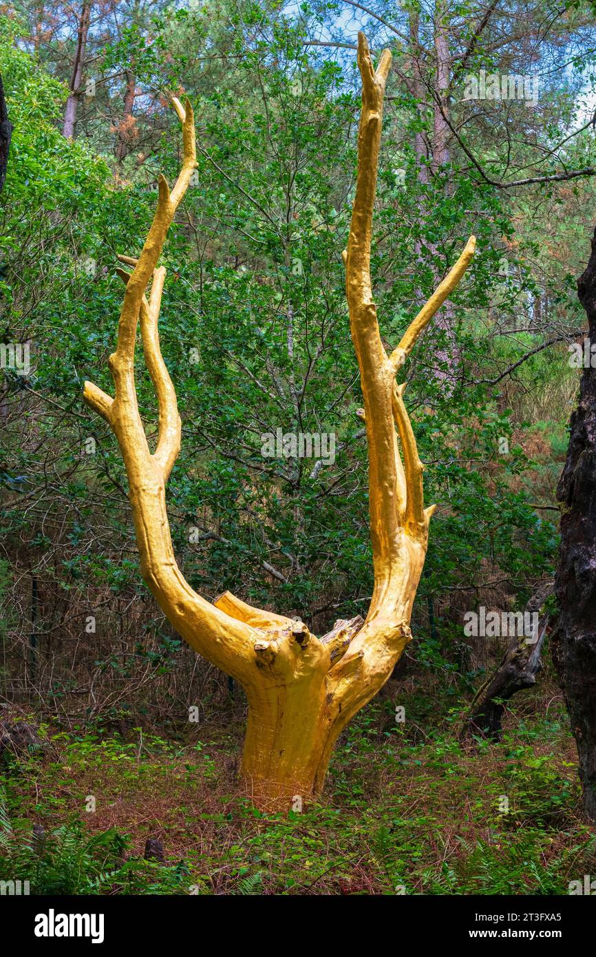 Frankreich, Morbihan, Broceliande Forest, Trehorenteuc, Val Sans Retour, der Goldene Baum, der 1991 von Francois Davin nach einem Brand geschaffen wurde, ein Baum, der mit echten goldenen Blättern bedeckt ist, der die Wiedergeburt des Waldes symbolisiert, aber auch seinen zerbrechlichen und kostbaren Charakter Stockfoto