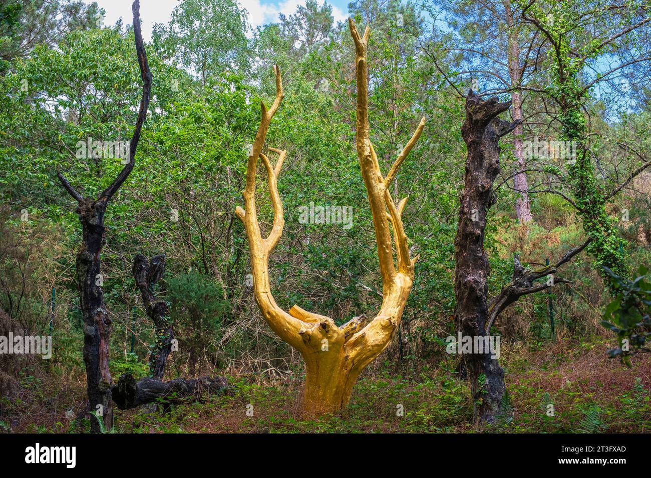 Frankreich, Morbihan, Broceliande Forest, Trehorenteuc, Val Sans Retour, der Goldene Baum, der 1991 von Francois Davin nach einem Brand geschaffen wurde, ein Baum, der mit echten goldenen Blättern bedeckt ist, der die Wiedergeburt des Waldes symbolisiert, aber auch seinen zerbrechlichen und kostbaren Charakter Stockfoto