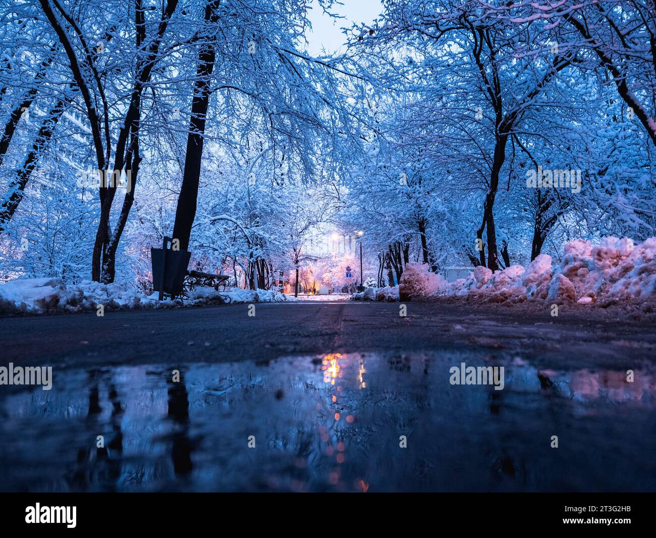 Winterabend in der Stadt nach starkem Schneefall. Die Bäume im Park sind mit Schnee bedeckt, Pfützen auf dem Bürgersteig Stockfoto
