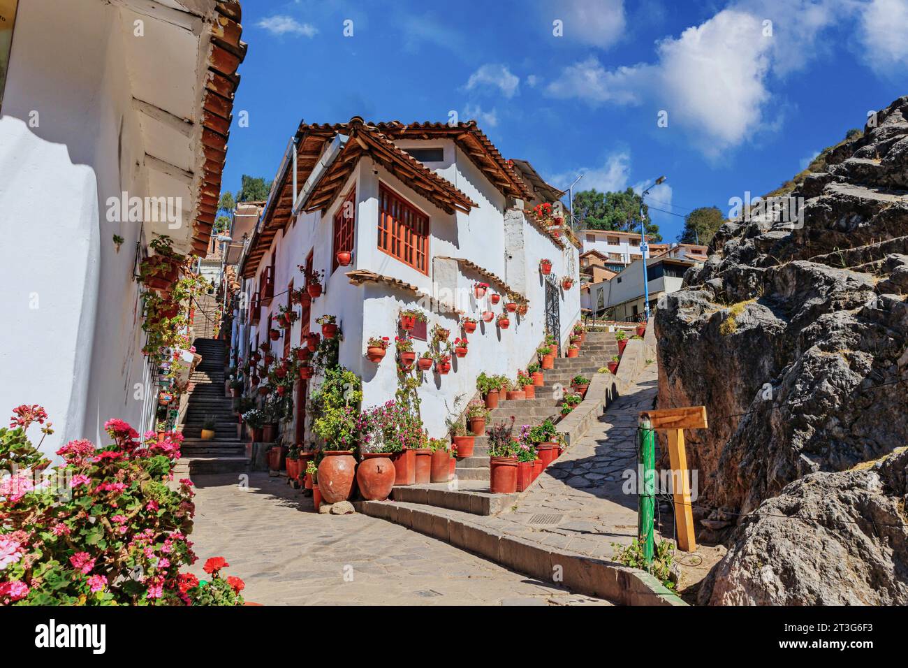 Straßen von sieben kleinen Schafen in der Stadt Cusco, Peru. Stockfoto