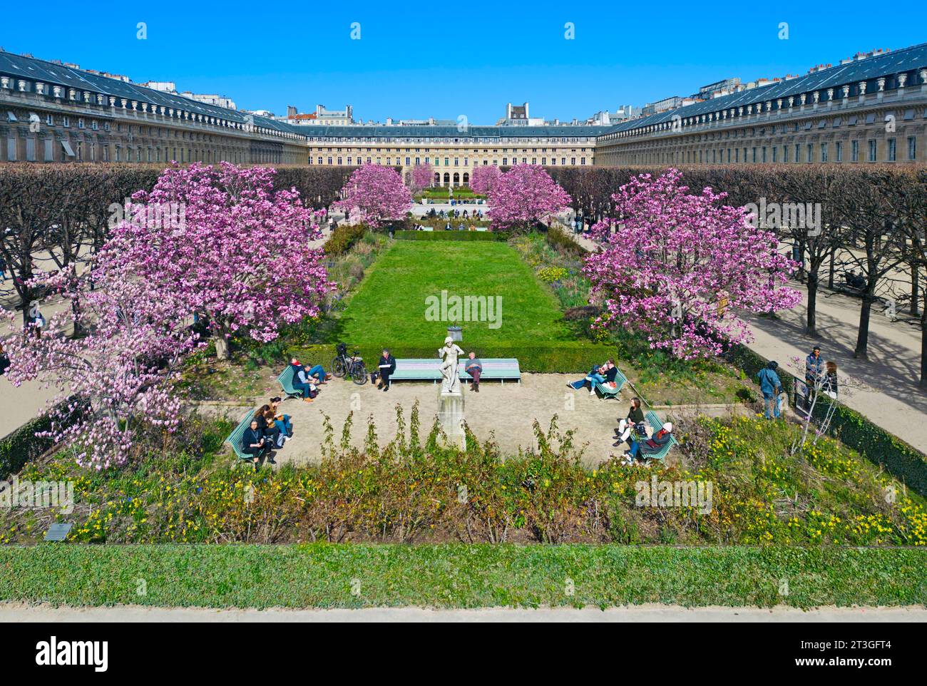 Frankreich, Paris, das Palais Royal (Königspalast) mit Magnolienbäumen in Blüte Stockfoto