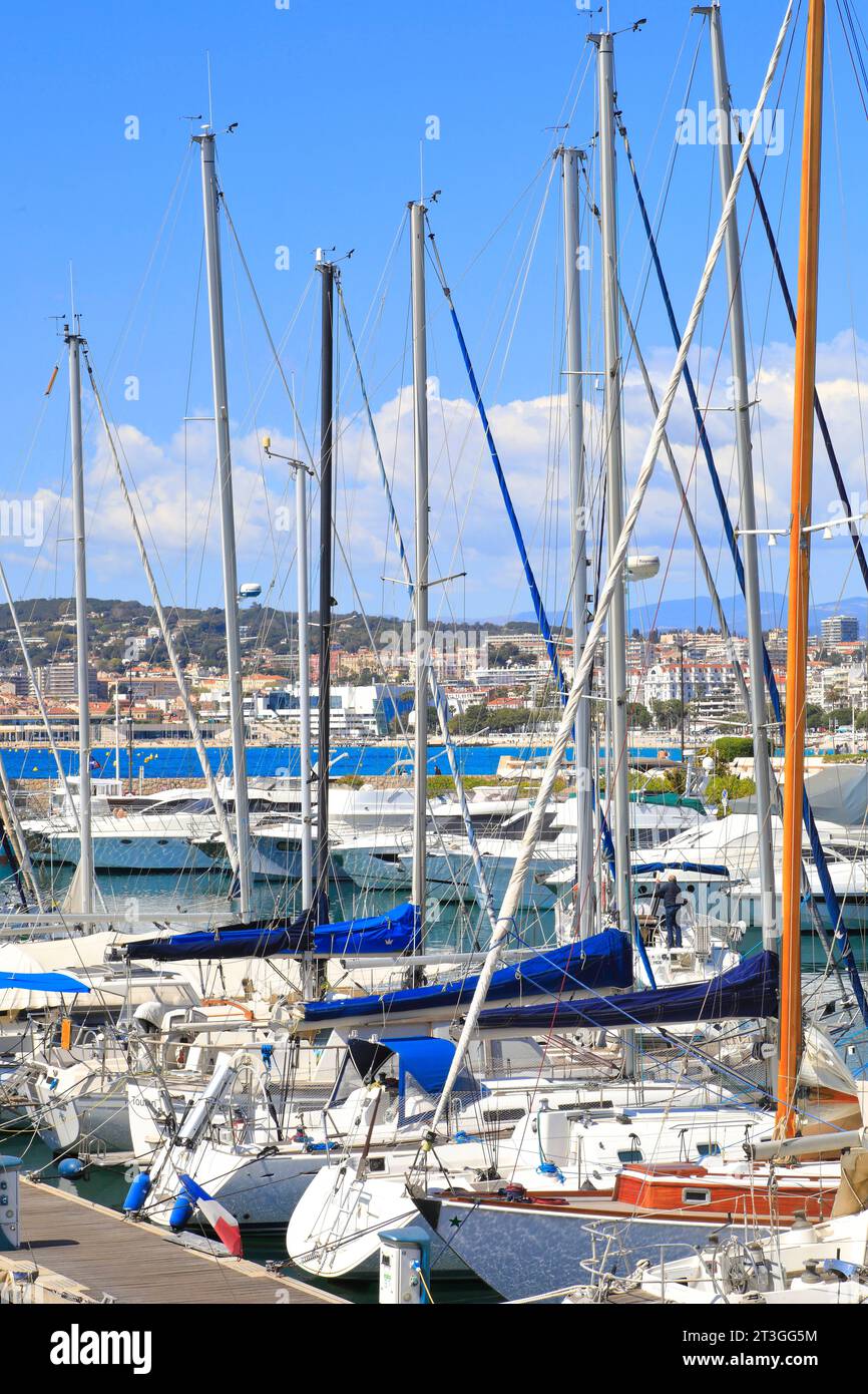 Frankreich, Alpes Maritimes, Cannes, Viertel Pointe Croisette, Marina Pierre Canto mit der Stadt Cannes im Hintergrund Stockfoto