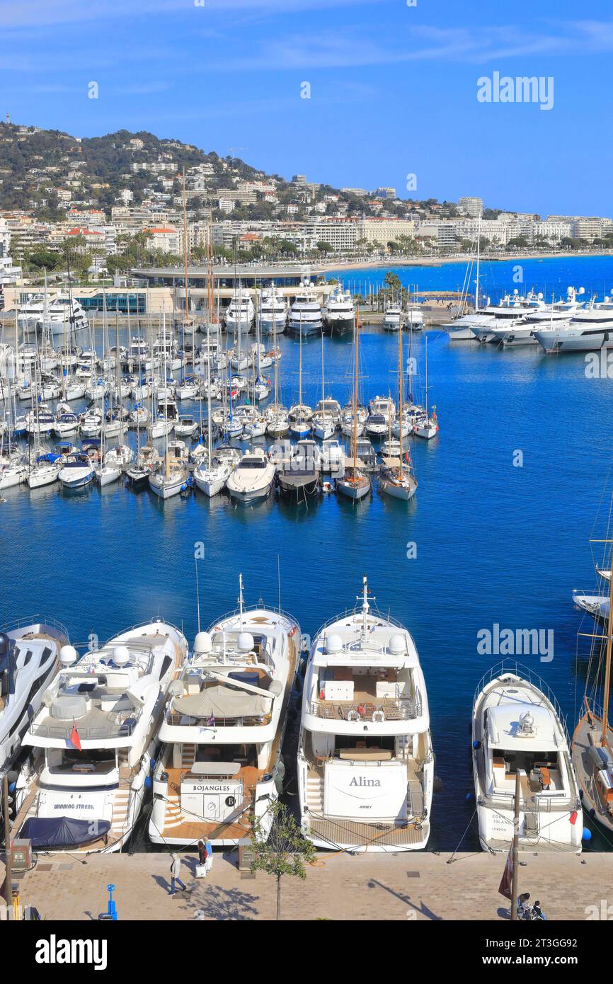 Frankreich, Alpes Maritimes, Cannes, Blick von Le Suquet auf den alten Hafen, seine vertäuten Boote, das Palais des Festivals et des Congres Stockfoto