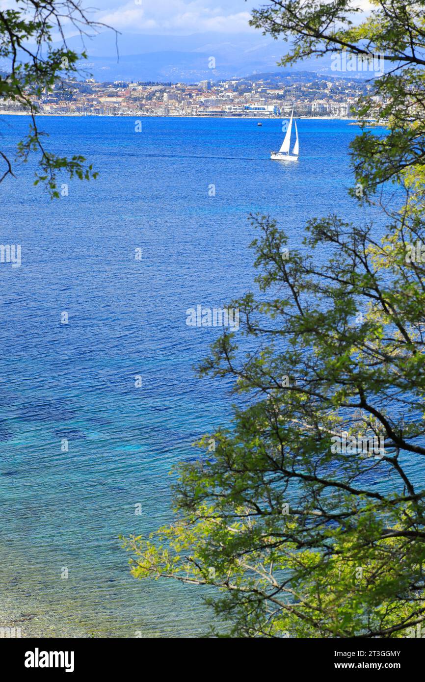 Frankreich, Alpes Maritimes, Cannes, Lerins, Sainte Marguerite, Blick auf die Stadt Cannes Stockfoto