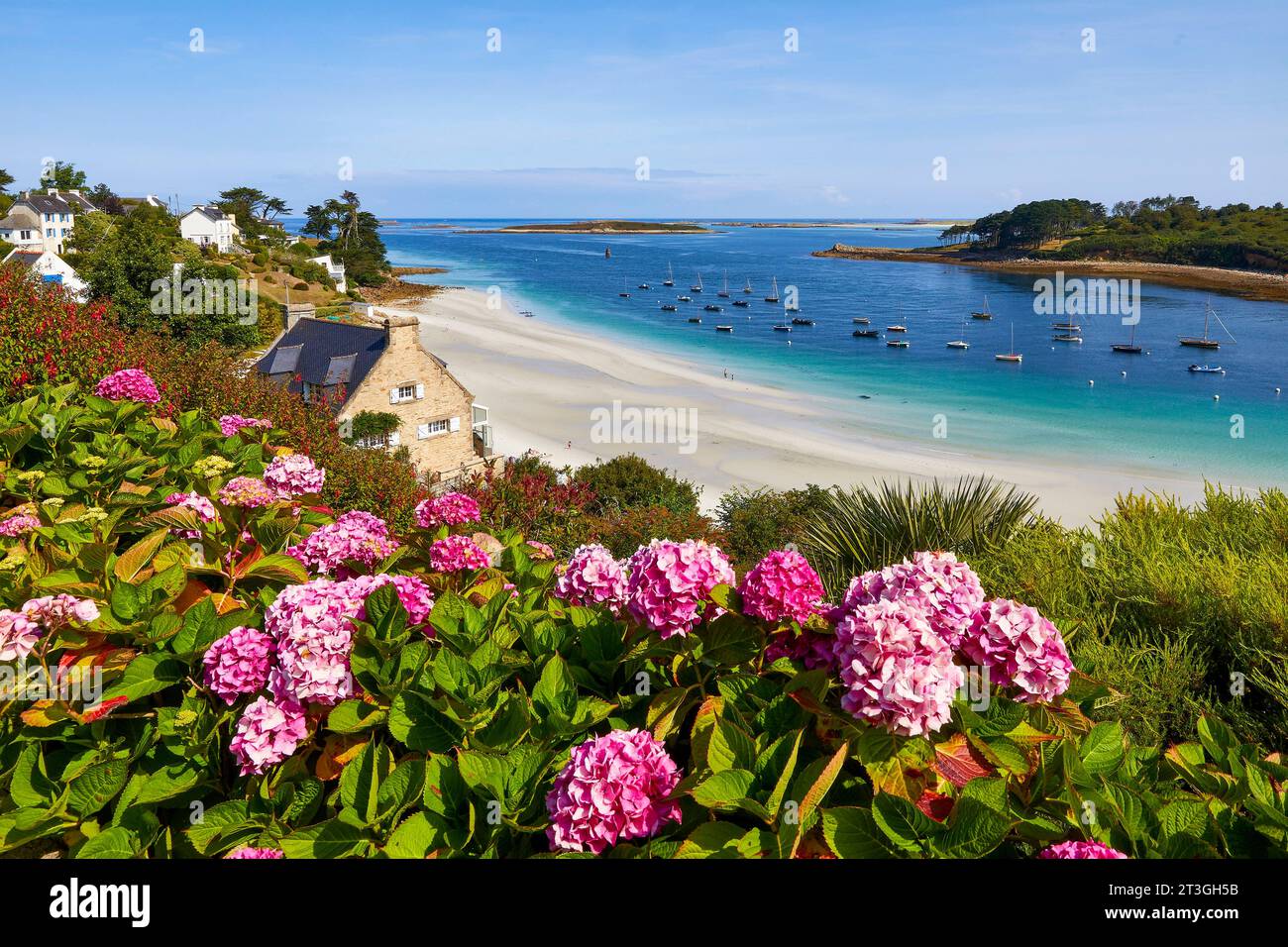 Frankreich, Finistère, Abers Country (Pays des Abers), Légendes Coast (Côte des Légendes), Aber Benoît, Saint-Pabu, Beniguet Beach Stockfoto