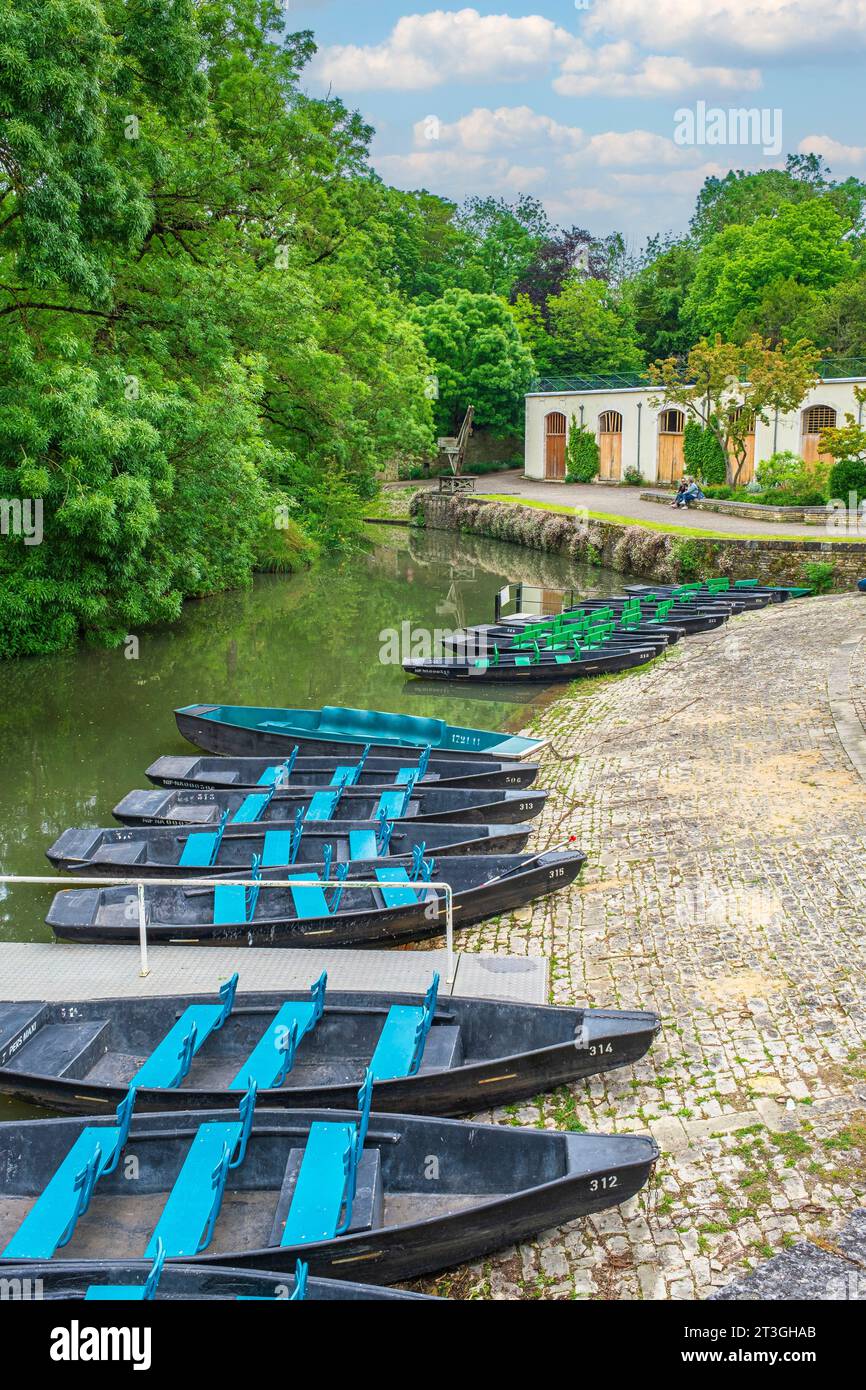 Frankreich, Deux Sevres, Marais Poitevin Interregionaler Park mit der Bezeichnung Great Site of France, Arquais, Pier Au Martin-Pecheur am Bief de la Garenne, Wohlstand des Sevre Niortaise Stockfoto