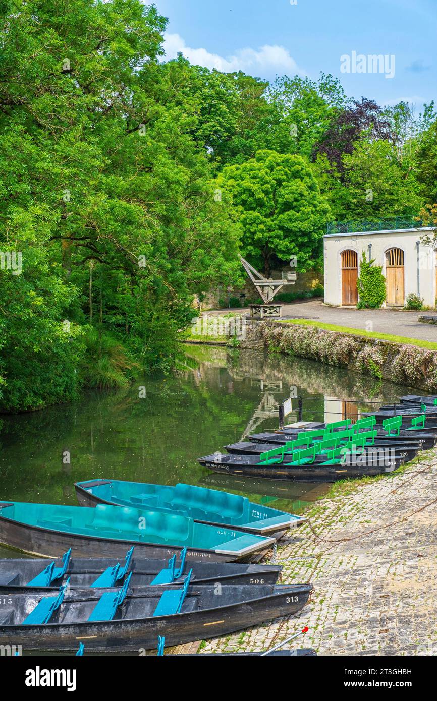Frankreich, Deux Sevres, Marais Poitevin Interregionaler Park mit der Bezeichnung Great Site of France, Arquais, Pier Au Martin-Pecheur am Bief de la Garenne, Wohlstand des Sevre Niortaise Stockfoto
