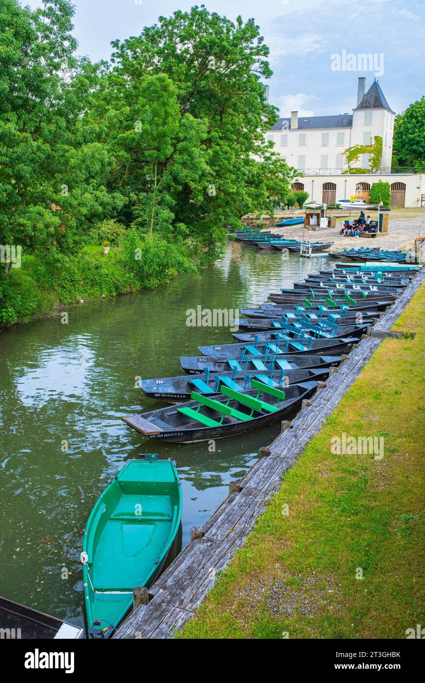 Frankreich, Deux Sevres, Marais Poitevin Interregionaler Park mit der Bezeichnung Great Site of France, Arquais, Pier Au Martin-Pecheur am Bief de la Garenne, Wohlstand des Sevre Niortaise Stockfoto