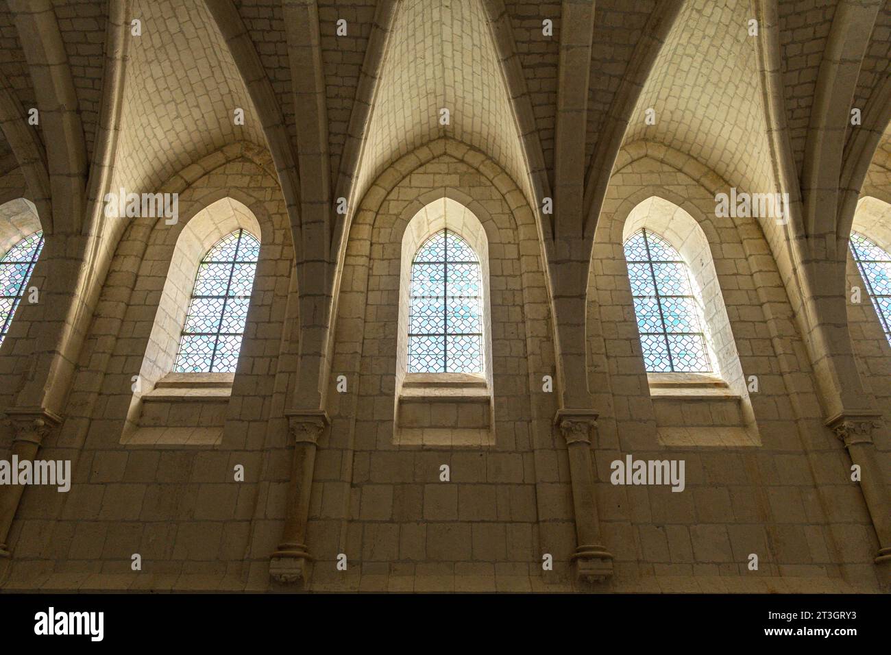 Frankreich, Pas-de-Calais, Neuville-sous-Montreuil, die Chartreuse Notre-Dame-des-Prés ist ein Kloster, das 1325 für den Kartäuserorden vom Grafen von Boulogne bei Montreuil-sur-mer gegründet wurde... In seiner 700-jährigen Geschichte wurde die Chartreuse zerstört, wiederaufgebaut, als Krankenhaus, Kulturzentrum genutzt, von Mönchen und Nonnen besetzt... Das Kartäuserkloster, das heute von Merula durchdrungen ist, ist nach Notre-Dame de Paris zweitklassig, was die Restaurierungsarbeiten betrifft. Stockfoto