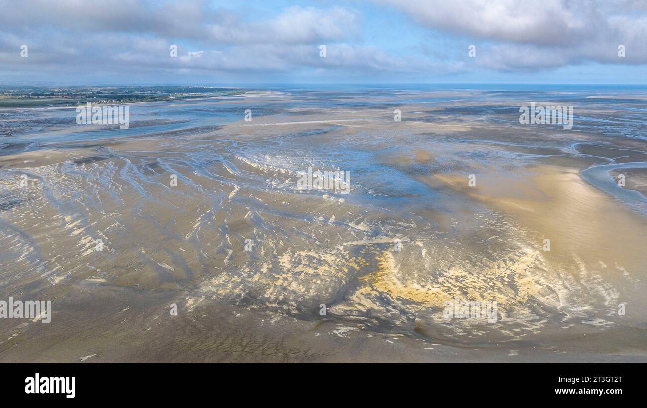 Frankreich, Somme, Baie de Somme, Le Crotoy, außergewöhnliche Sterblichkeit von Kerzen in der Bucht der Somme, die Muschelhaufen bilden. Die Kombination aus hohen Temperaturen und Ebbe kann bis zu 80 % der Muscheln zerstören, was für die Fischer eine Katastrophe ist (Luftsicht). Stockfoto