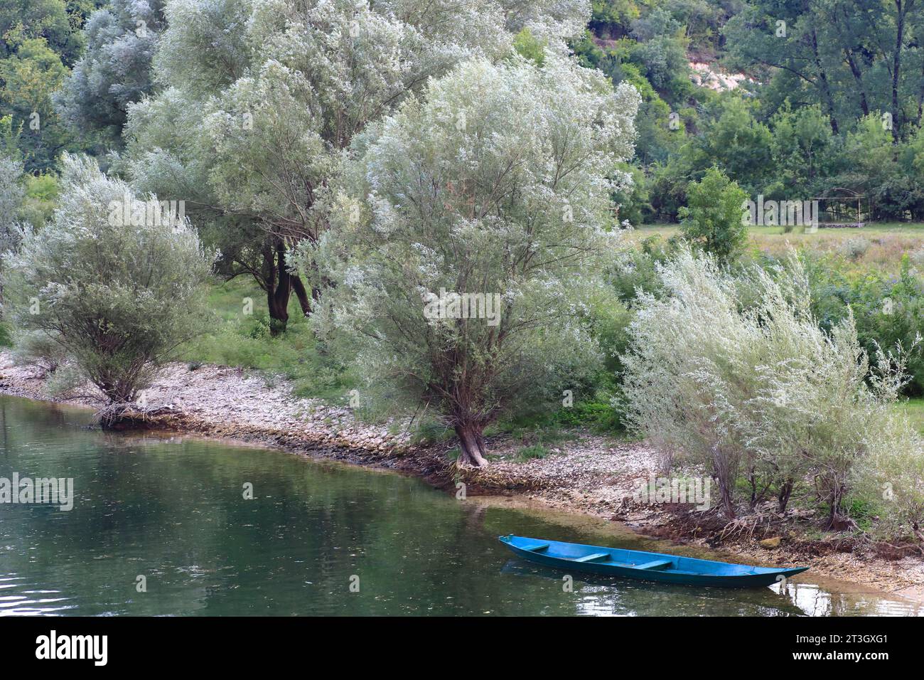 Montenegro, Skadar-See (Shkodra-See), Skadar-Nationalpark, Rijeka Crnojevica, Boot auf dem Crnojevica-Fluss Stockfoto