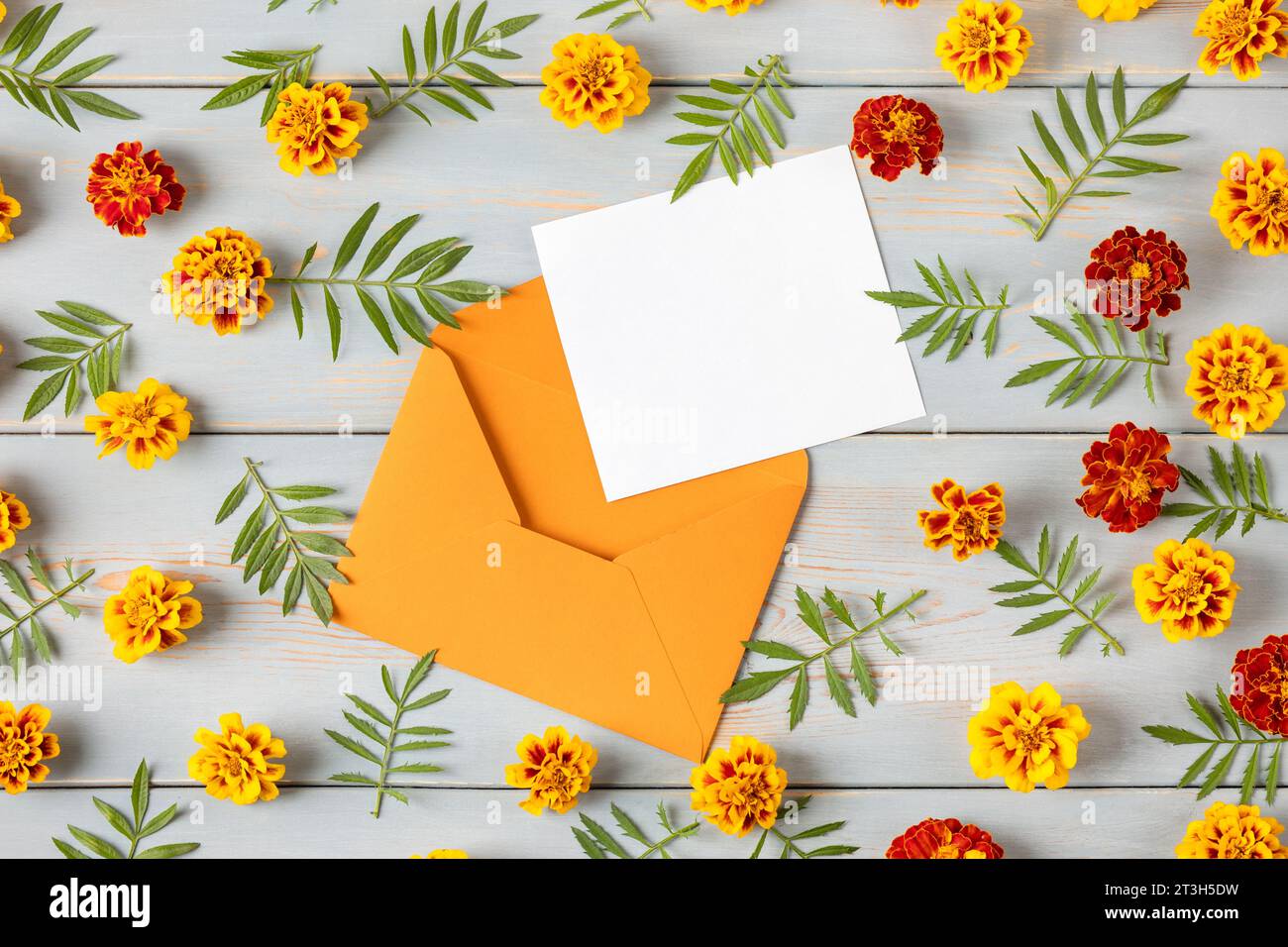 Orangefarbener Umschlag mit einem weißen Blatt Papier für Text und orangefarbene Ringelblumen auf einem blauen Holztisch. Festliches Desktop-Konzept für das Büro. Stockfoto