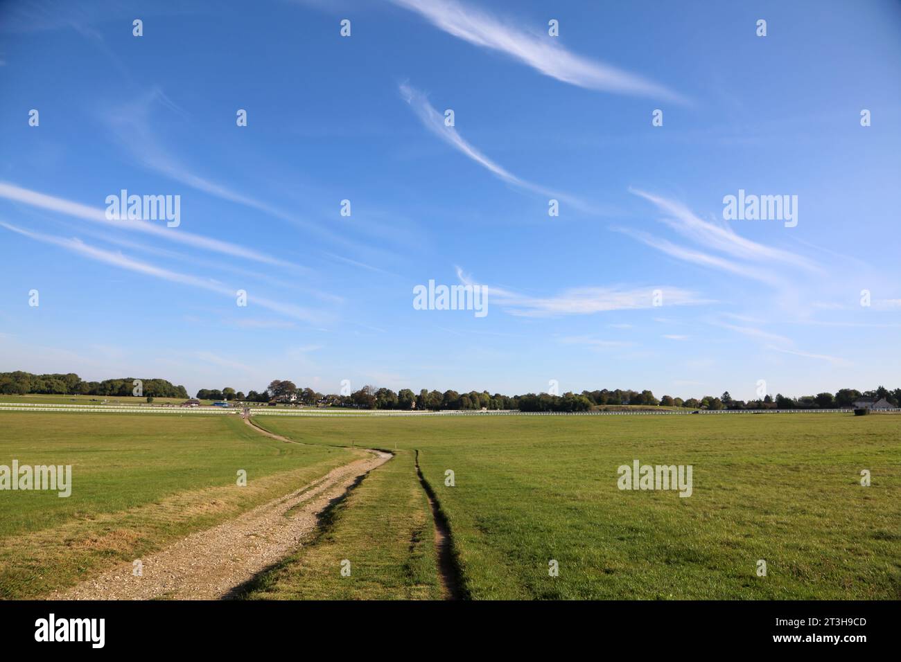 Cirrus Clouds in großer Höhe über den Reifenpisten in Grass Epsom Downs Racecourse Surrey England Stockfoto