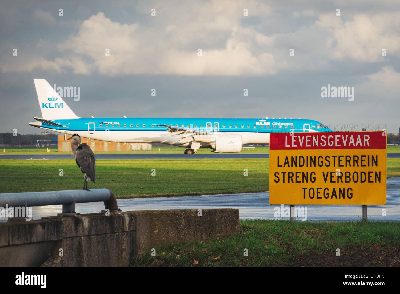 Ein Vogel sitzt neben einem Schild mit der Aufschrift „Lethal Danger, Start- und Landebahn, Zutritt strikt verboten“ auf der Polderbaan am Flughafen Amsterdam Schiphol, Holland Stockfoto
