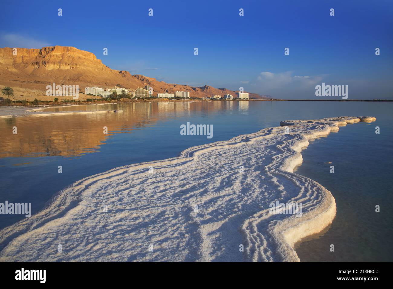 Salzvorkommen, typische Landschaft des Toten Meeres, Israel. Stockfoto