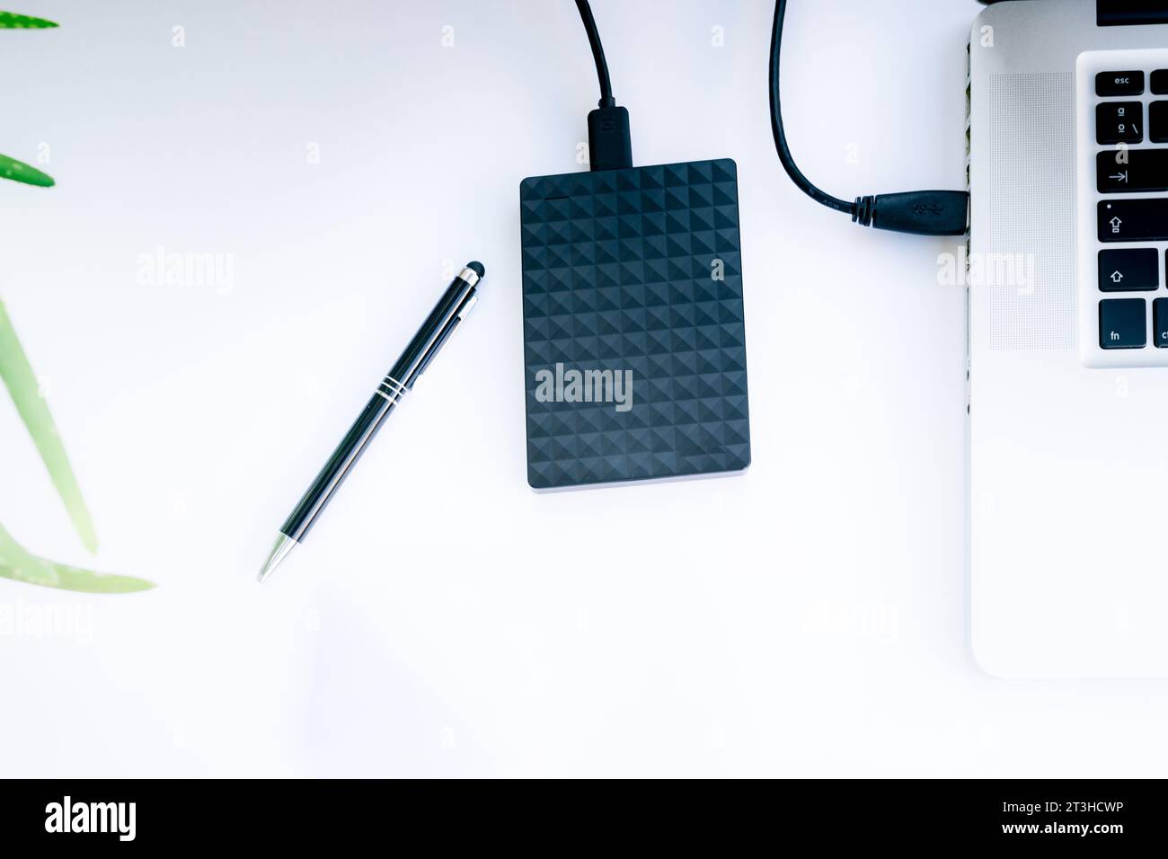 Stift und schwarze ssd-Festplatte mit Kabel, verbunden mit einem Laptop mit weißem Hintergrund Stockfoto