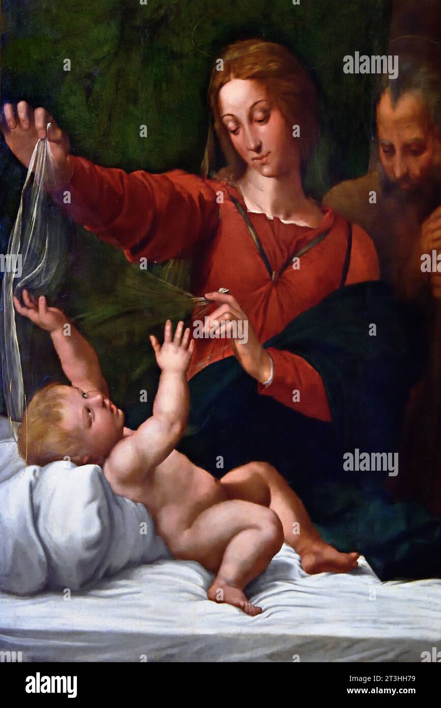 Heilige Familie, genannt Jungfrau des Schleiers. Von Rafael (ca. 1483-1520). Raffaello Sanzio (Werkstatt) italienischer Maler. Heilige Familie, genannt Jungfrau des Schleiers, CA. 1500-1510. Farnese Collection Museum, Italien. Stockfoto