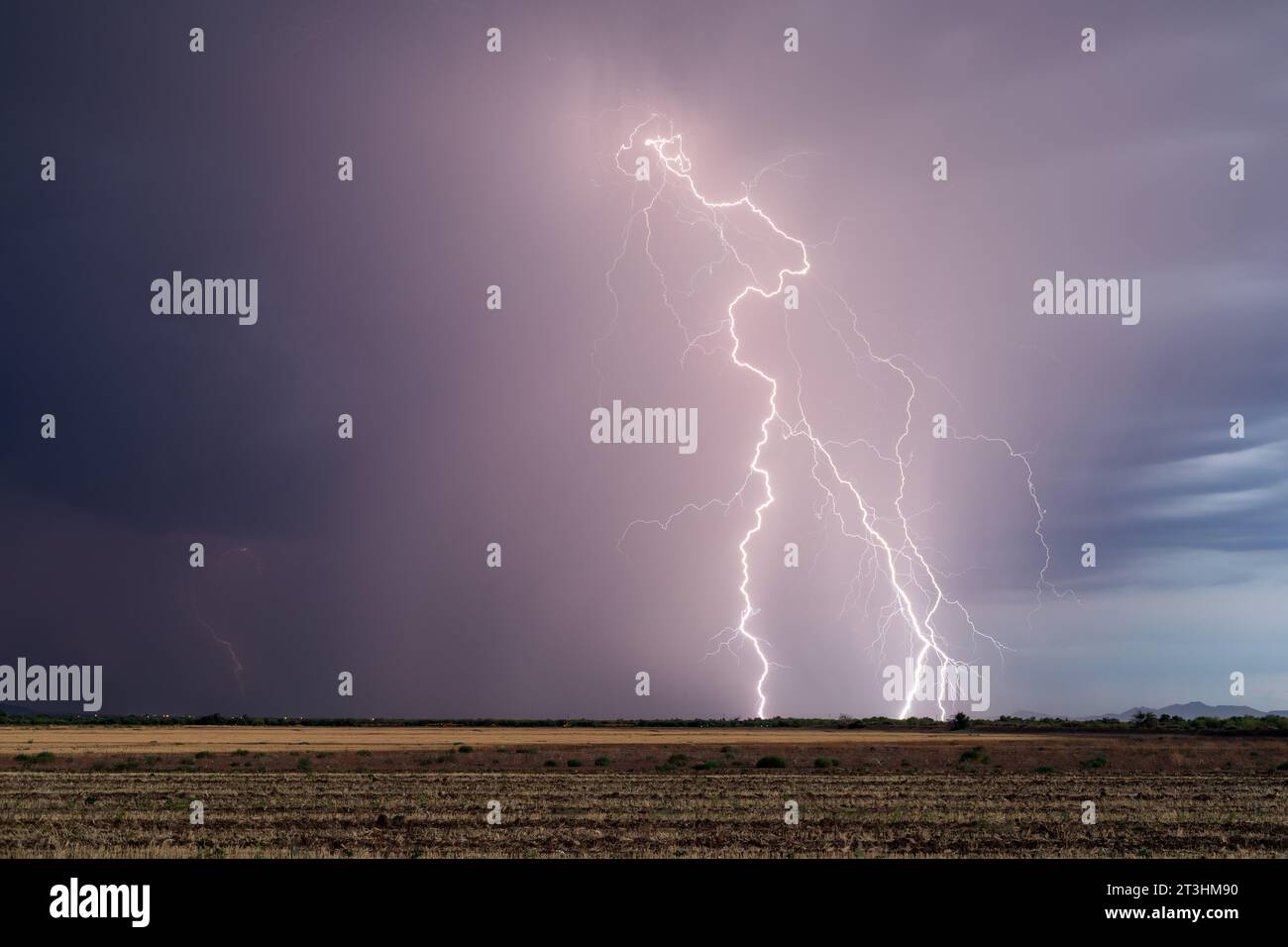 Dramatische Blitze treffen von einem Monsungewitter in der Nähe von Tucson, Arizona Stockfoto
