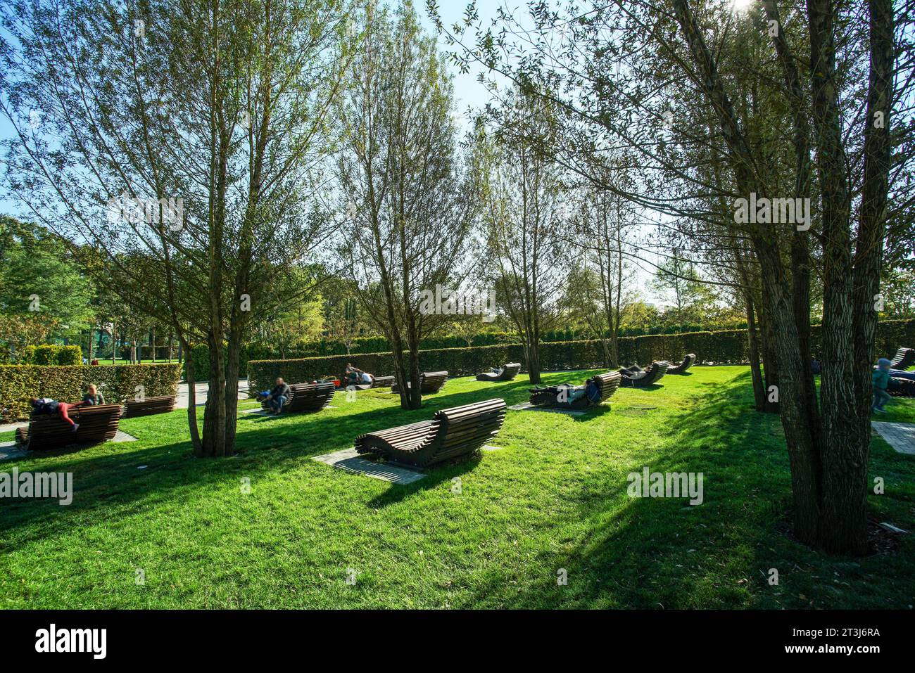Erstaunliche Sonnenstrahlen - Ort zum Entspannen auf komfortablen Außenbänken im Park Galitskogo (Krasnodar Park). Langer Sommer in Südrussland. Stockfoto