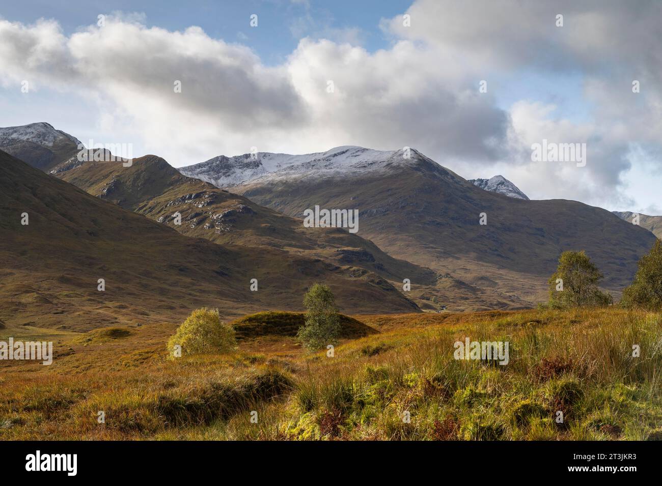 Herbstlandschaft der Highlands mit schneebedeckten Berggipfeln, Glen Sheil Ridge, River Cluanie Valley, Schottland, Großbritannien Stockfoto