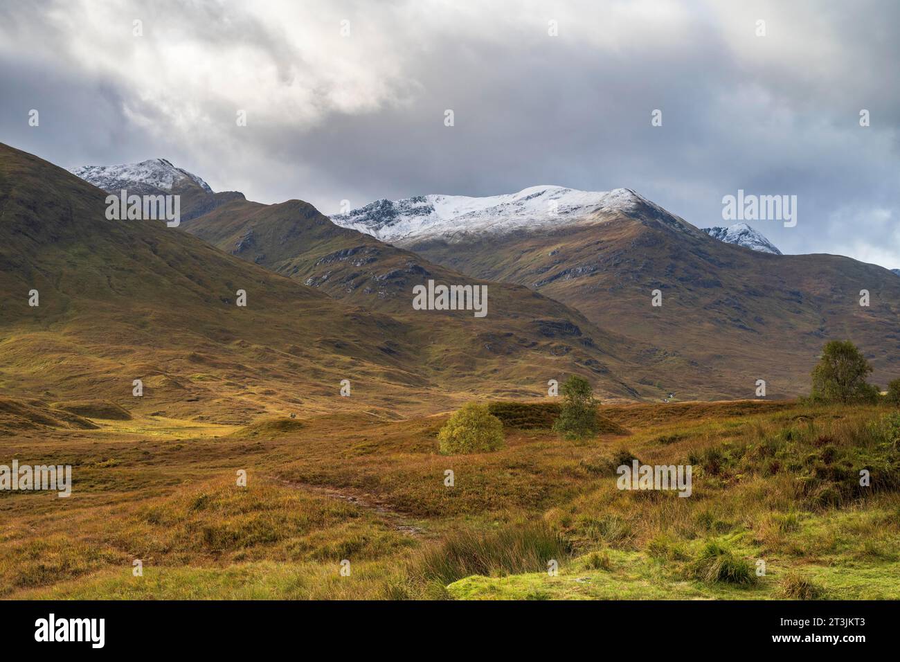 Herbstlandschaft der Highlands mit schneebedeckten Berggipfeln, Glen Sheil Ridge, River Cluanie Valley, Schottland, Großbritannien Stockfoto