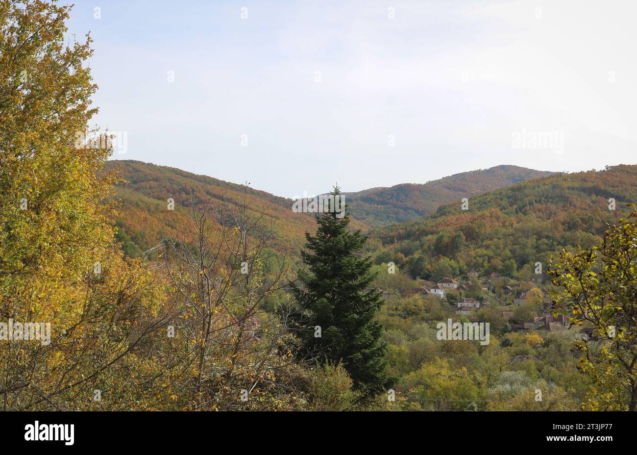 Landschaft Stockfoto