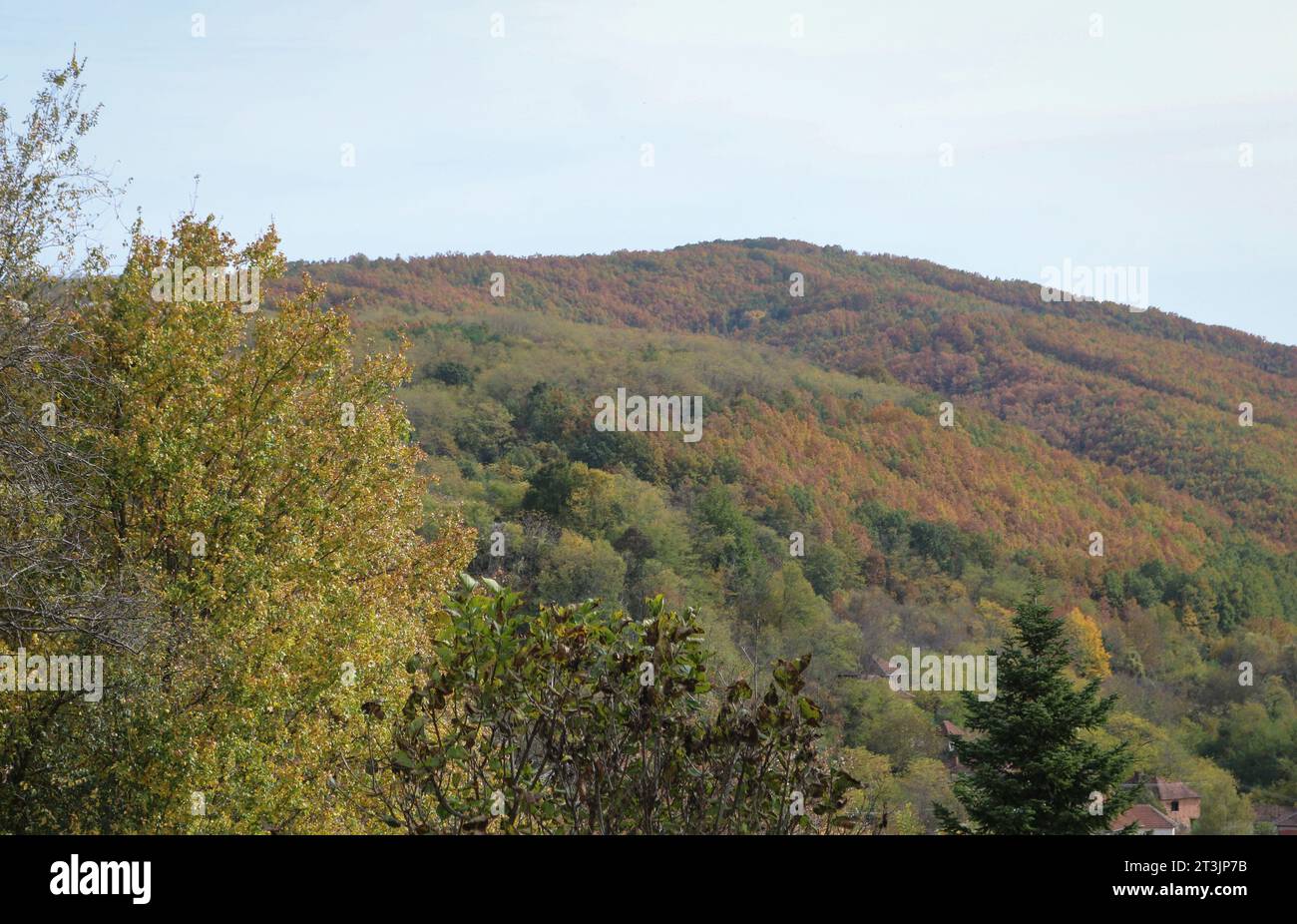 Landschaft Stockfoto