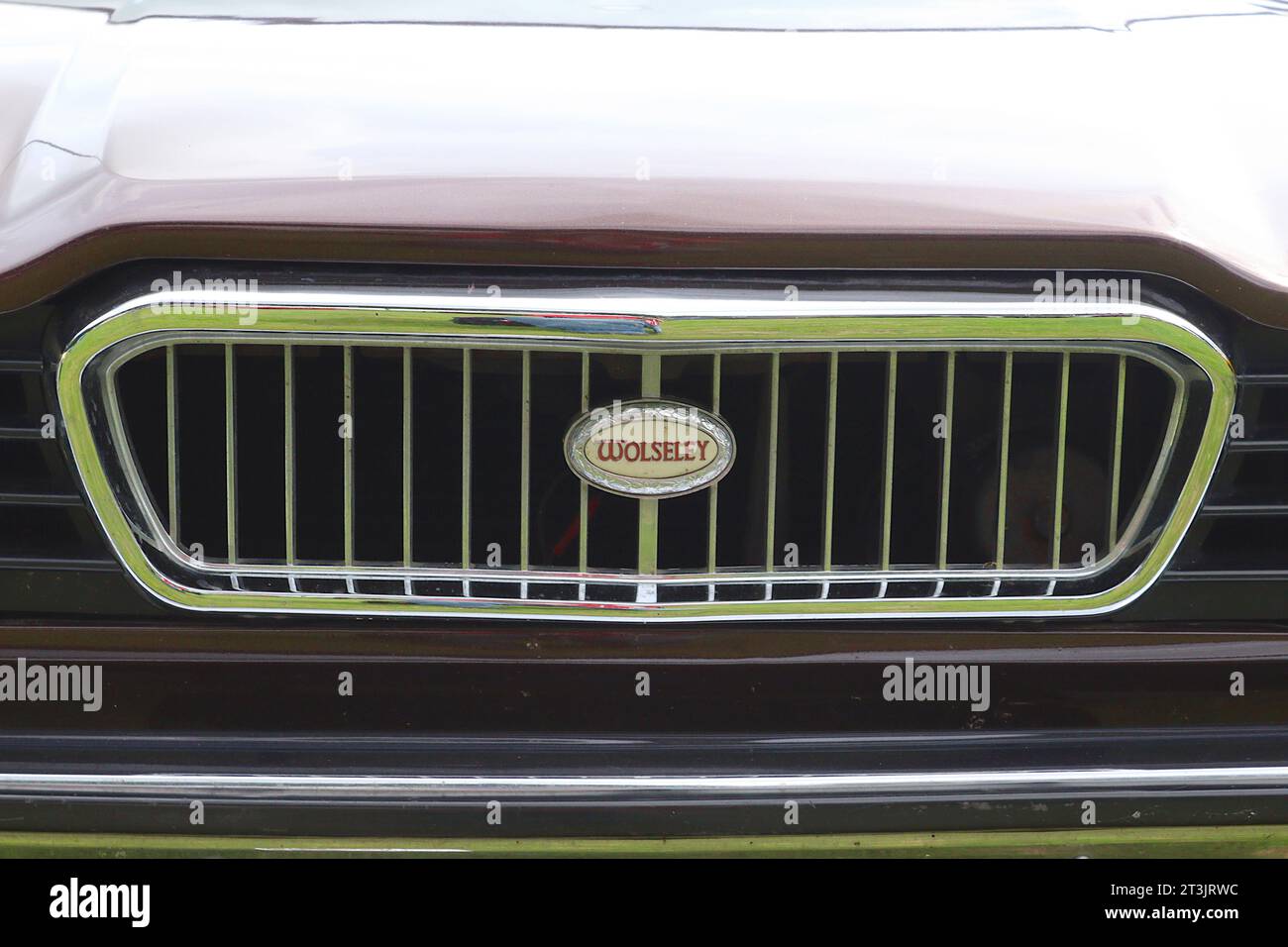 Das letzte Mal erschien der Name Wolseley auf einem Auto, einer 1975 18-22er Serie von Austin Morris. Weniger als 4.000 in 6 Monaten gebaut, weniger als 10 überleben. Stockfoto