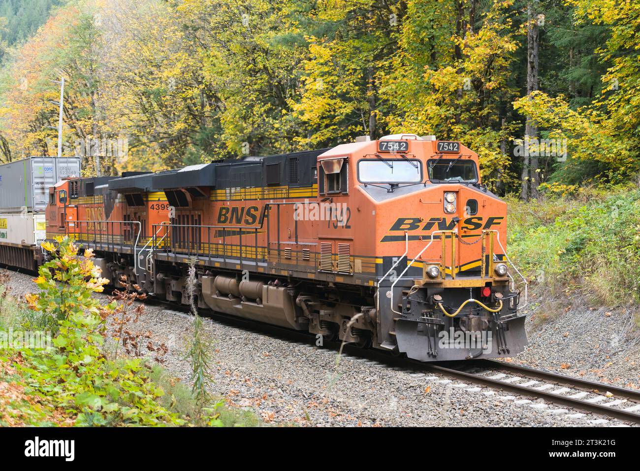 Skykomish, WA, USA - 21. Oktober 2023; BNSF-Güterzug überquert Herbstfarben mit intermodalen Containern auf eingleisiger Strecke Stockfoto